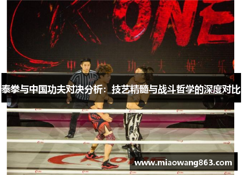 泰拳与中国功夫对决分析：技艺精髓与战斗哲学的深度对比