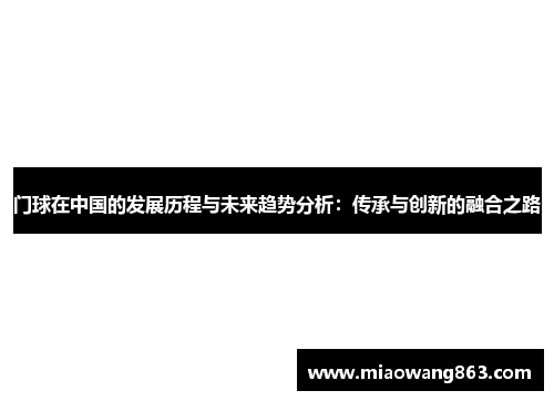 门球在中国的发展历程与未来趋势分析：传承与创新的融合之路