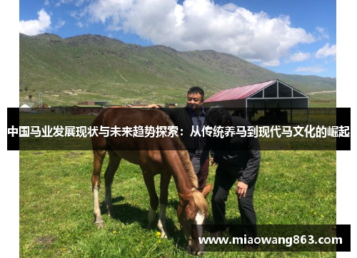 中国马业发展现状与未来趋势探索：从传统养马到现代马文化的崛起