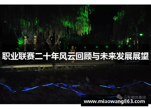 职业联赛二十年风云回顾与未来发展展望