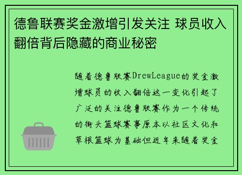德鲁联赛奖金激增引发关注 球员收入翻倍背后隐藏的商业秘密
