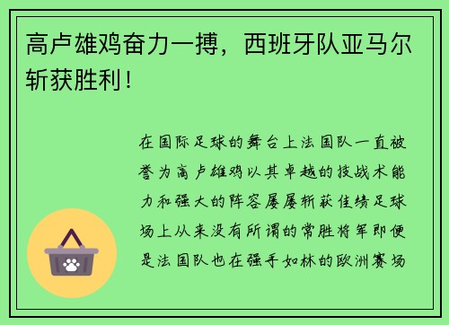 高卢雄鸡奋力一搏，西班牙队亚马尔斩获胜利！